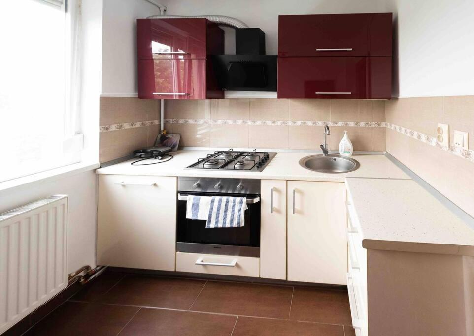 Apartament Timisoara Apartment ภายนอก รูปภาพ